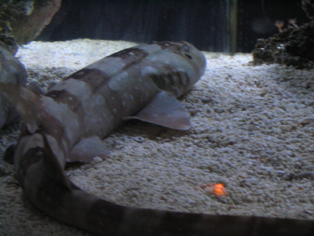 618x457 pixels (174K)